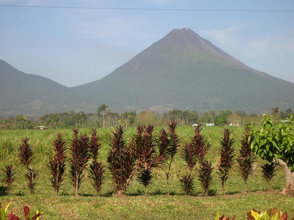 Hotel Befox Adventure La Fortuna Exterior foto